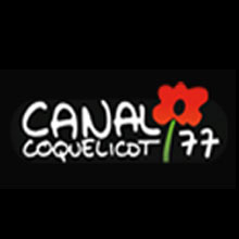 Découvrez le reportage de Canal Coquelicot 77 sur la COP21 des Etudiants