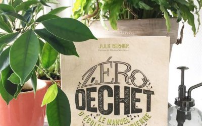 Le manuel « Zéro Déchet » de Julie Bernier