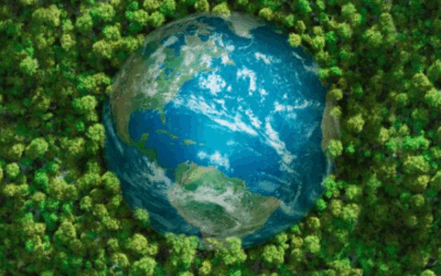Le Rapport Copernicus 2024