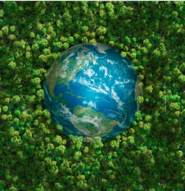 Le Rapport Copernicus 2024